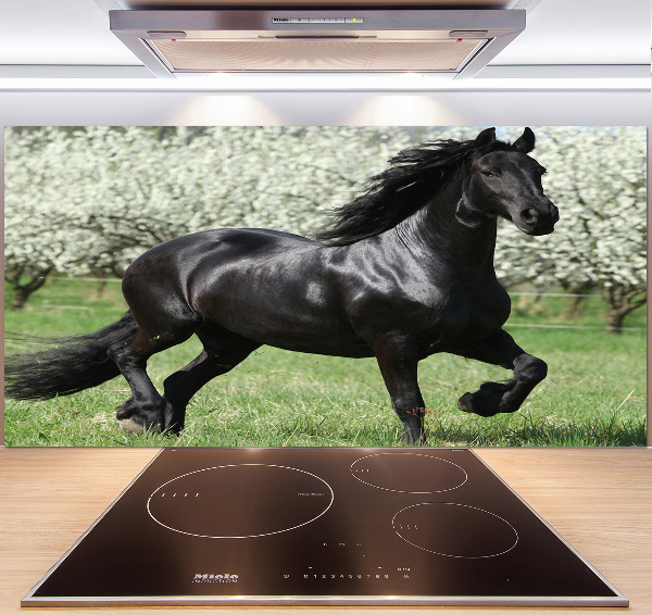 Panneaux muraux cuisine Cheval noir en fleurs