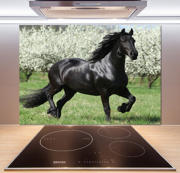Panneaux muraux cuisine Cheval noir en fleurs