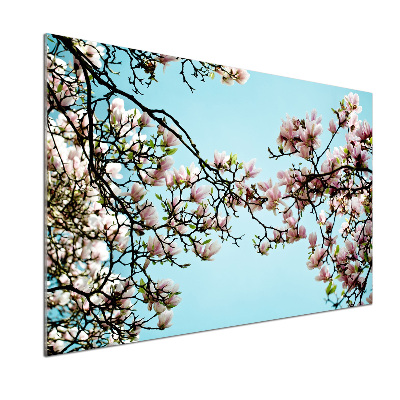Crédence en verre Fleurs de magnolia