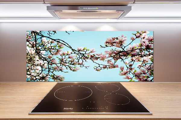 Crédence en verre Fleurs de magnolia