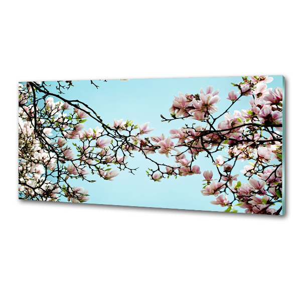 Crédence en verre Fleurs de magnolia