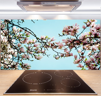 Crédence en verre Fleurs de magnolia