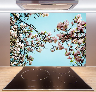 Crédence en verre Fleurs de magnolia