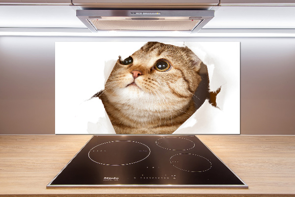 Panneau crédence cuisine Chat