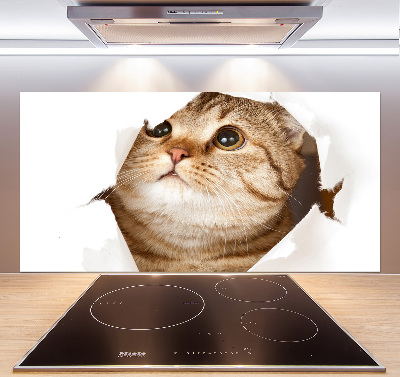 Panneau crédence cuisine Chat