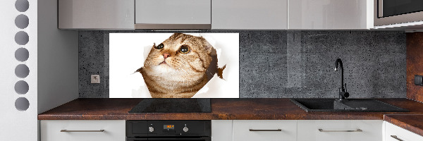 Panneau crédence cuisine Chat
