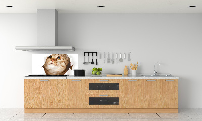 Panneau crédence cuisine Chat