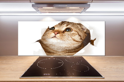 Panneau crédence cuisine Chat