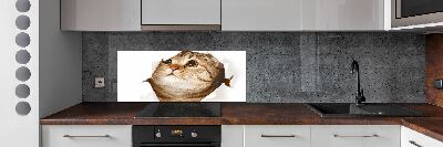 Panneau crédence cuisine Chat