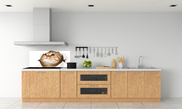 Panneau crédence cuisine Chat