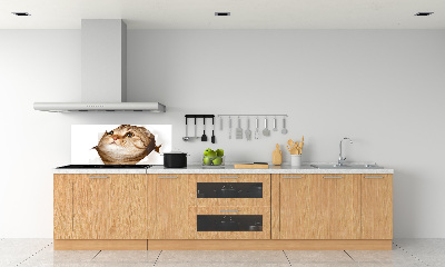 Panneau crédence cuisine Chat