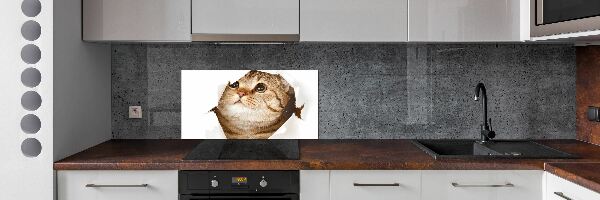 Panneau crédence cuisine Chat