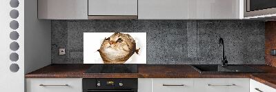 Panneau crédence cuisine Chat