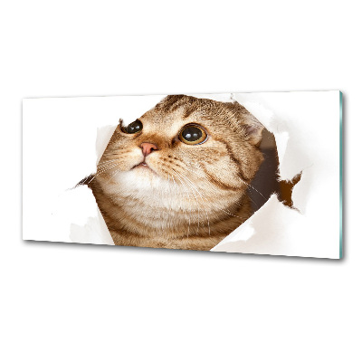 Panneau crédence cuisine Chat