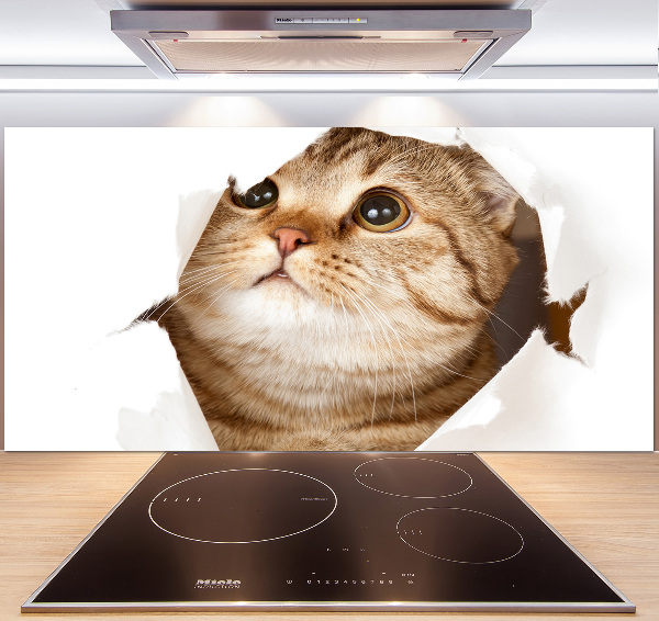 Panneau crédence cuisine Chat