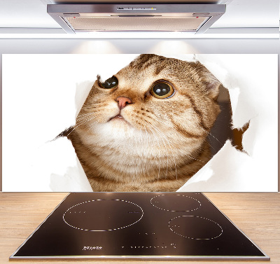 Panneau crédence cuisine Chat