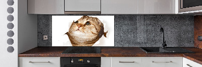 Panneau crédence cuisine Chat