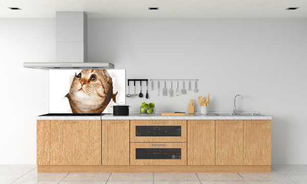 Panneau crédence cuisine Chat