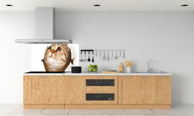 Panneau crédence cuisine Chat