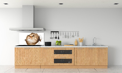 Panneau crédence cuisine Chat