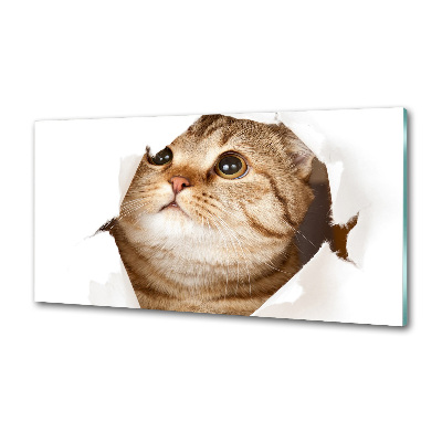 Panneau crédence cuisine Chat