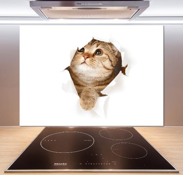 Panneau crédence cuisine Chat