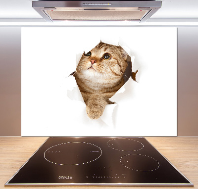 Panneau crédence cuisine Chat