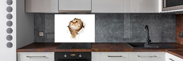 Panneau crédence cuisine Chat