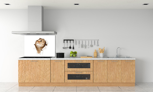 Panneau crédence cuisine Chat