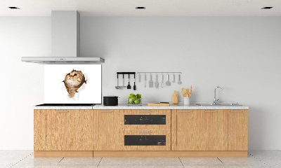 Panneau crédence cuisine Chat