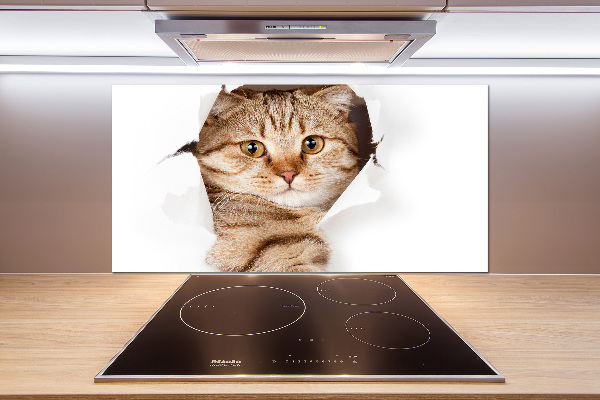 Crédence de cuisine Chat