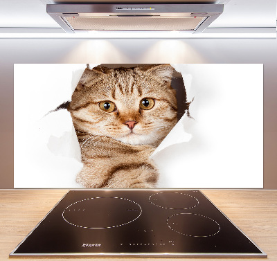 Crédence de cuisine Chat