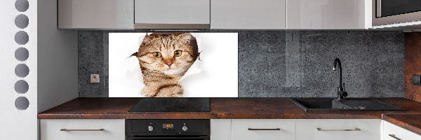 Crédence de cuisine Chat