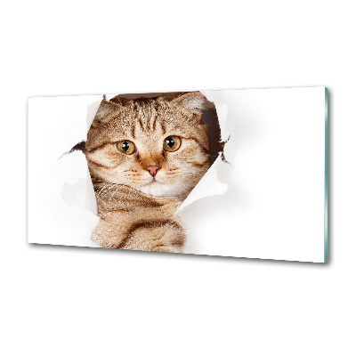 Crédence de cuisine Chat