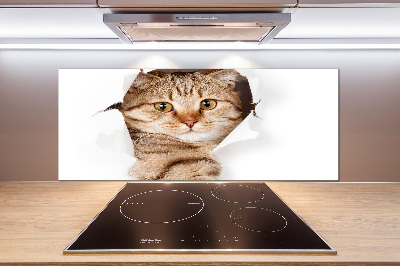 Crédence de cuisine Chat