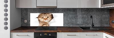 Crédence de cuisine Chat
