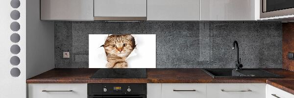 Crédence de cuisine Chat