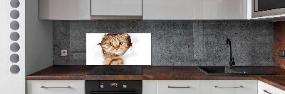 Crédence de cuisine Chat