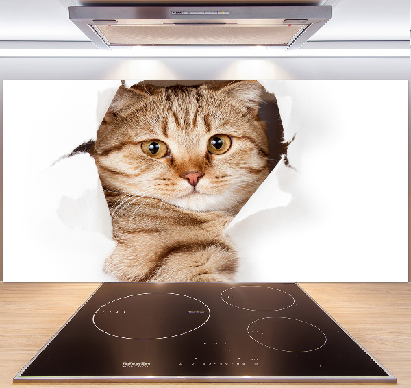 Crédence de cuisine Chat
