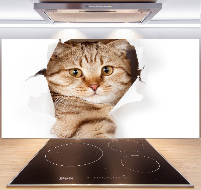 Crédence de cuisine Chat