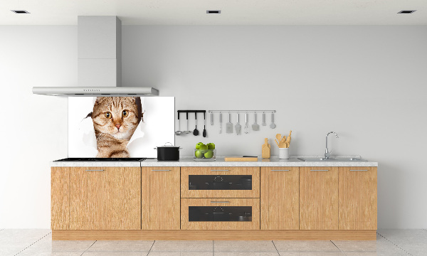 Crédence de cuisine Chat