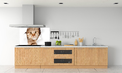 Crédence de cuisine Chat