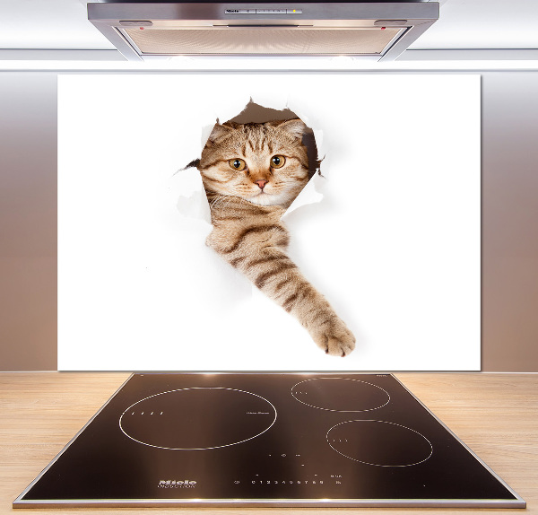 Crédence de cuisine Chat