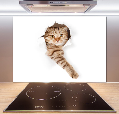 Crédence de cuisine Chat