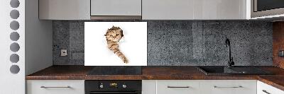 Crédence de cuisine Chat