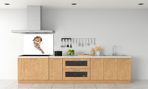 Crédence de cuisine Chat