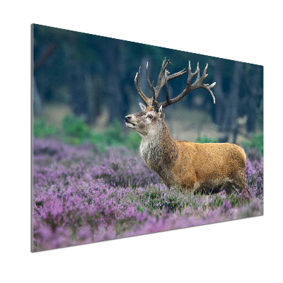 Crédence de cuisine en verre Cerf dans la lavande
