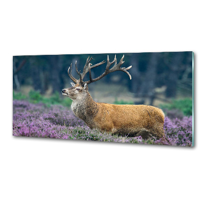 Crédence de cuisine en verre Cerf dans la lavande