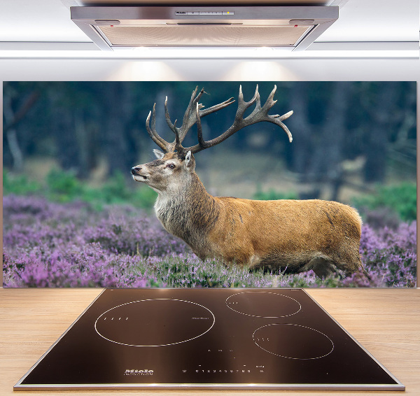 Crédence de cuisine en verre Cerf dans la lavande