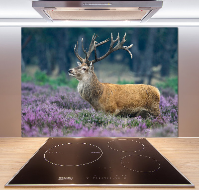 Crédence de cuisine en verre Cerf dans la lavande